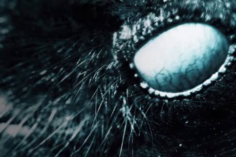 Mylène Farmer - Nevermore - Capture YouTube