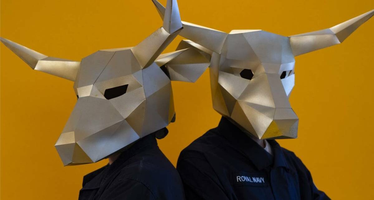 Toro - DR