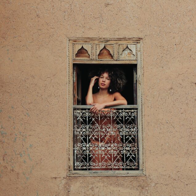 Lubiana - ©dianemoyssan