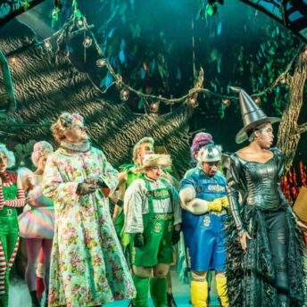 Shrek le musical (c) DR